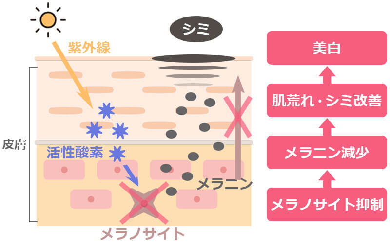 トラネキサム酸