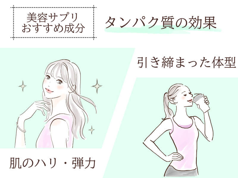 美容サプリおすすめ成分,タンパク質