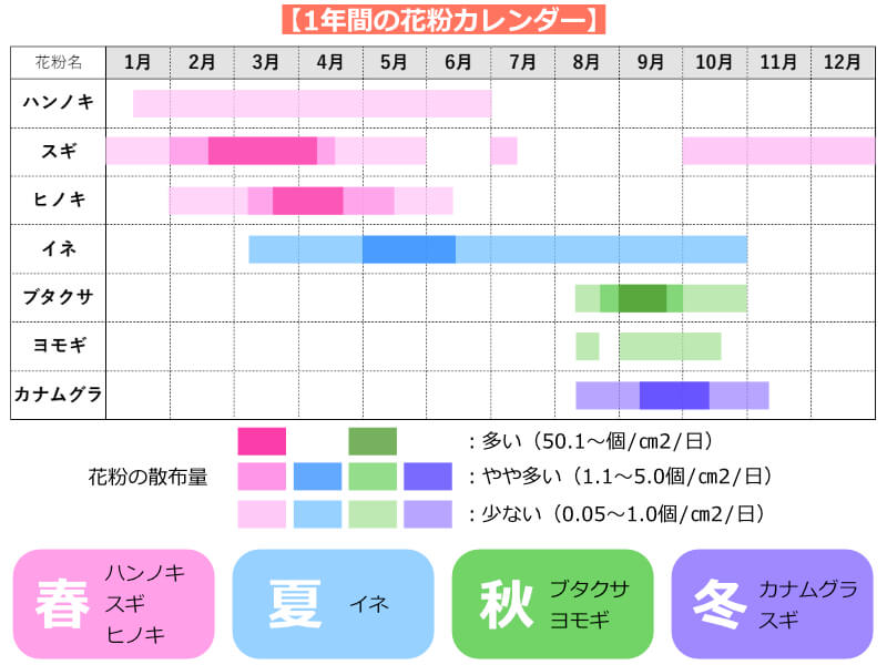 花粉症の市販薬と病院の処方薬の違い