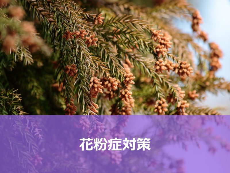 花粉症対策