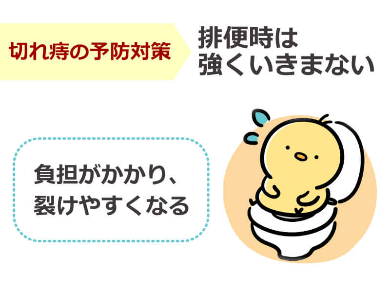 切れ痔の予防対策,排便時は強くいきまない