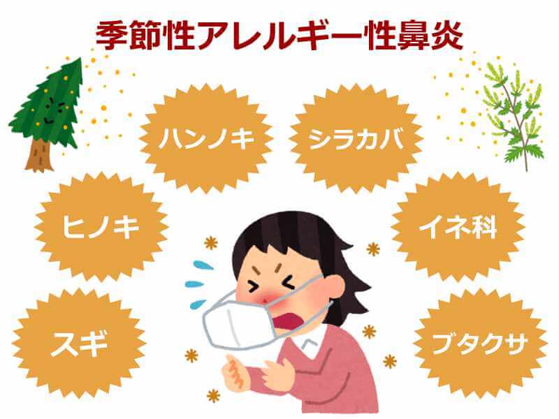 季節性アレルギー性鼻炎
