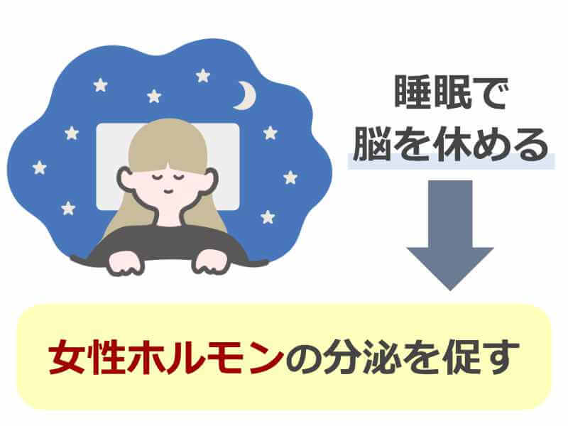 女性ホルモンを増やす方法,バランスの取れた食事