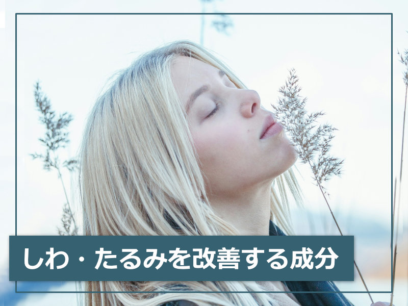 しわ・たるみを改善する成分
