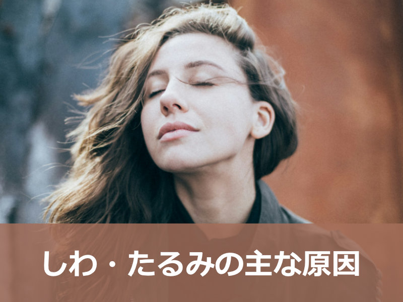 しわ・たるみの主な原因