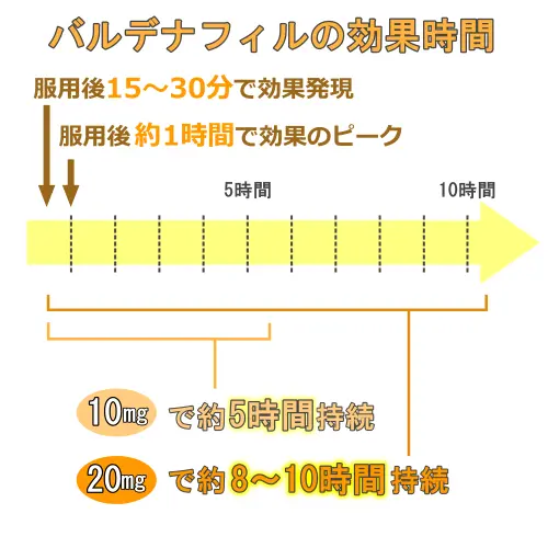 バルデナフィルの効果発現時間と効果持続時間について10mgと20mgの図解