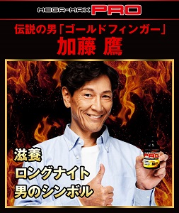メガマックスプロ