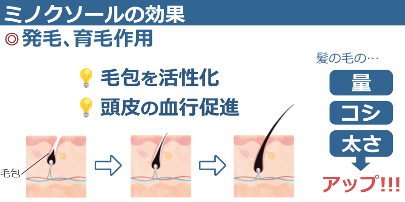 効果