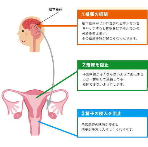 トリキュラー避妊効果