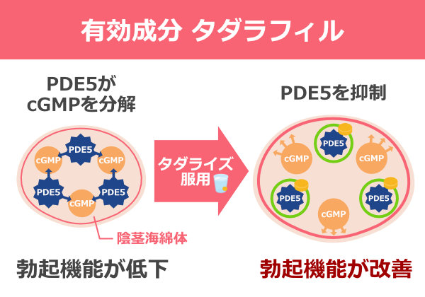 タダライズ有効成分,タダラフィル
