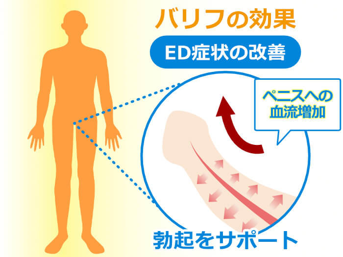 バリフ(valif)20mgの効果