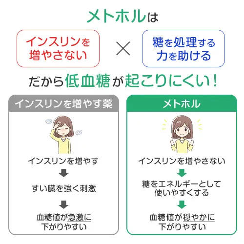 メトホル（メトホルミン）