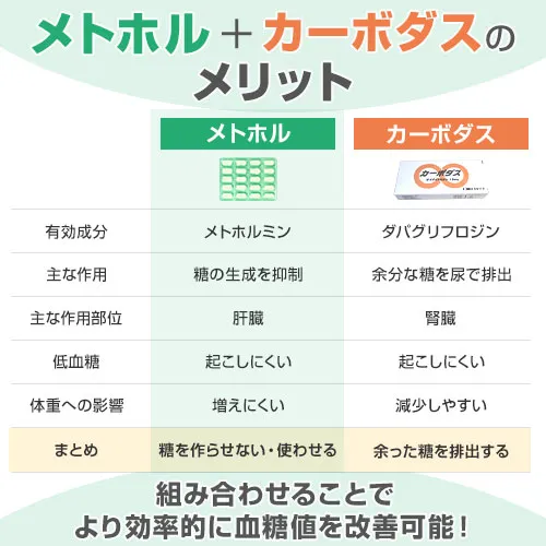 メトホル（メトホルミン）