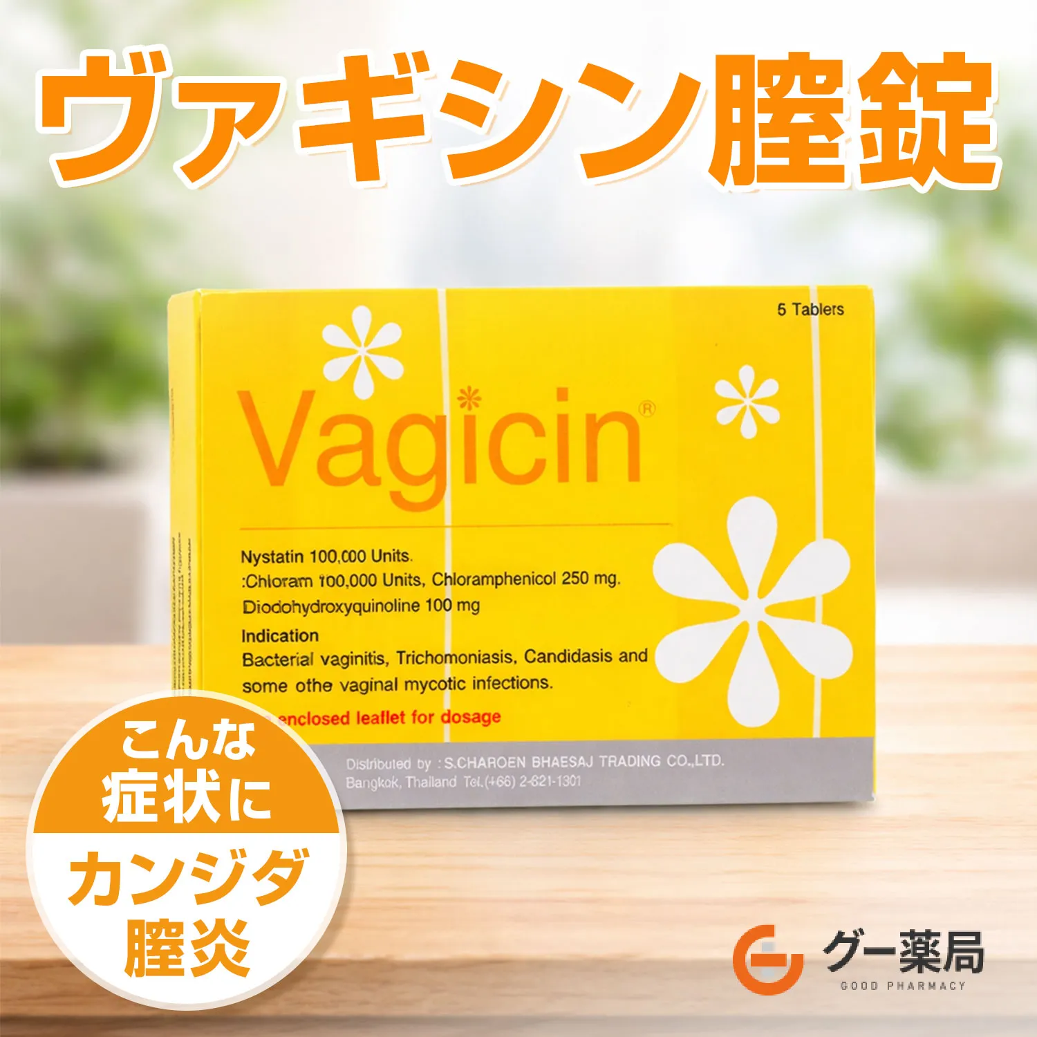 ヴァギシン膣錠