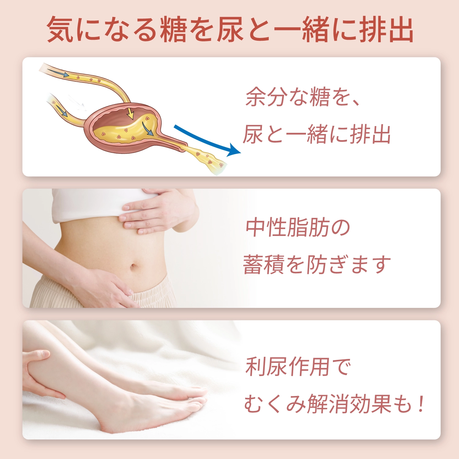 カーボダス