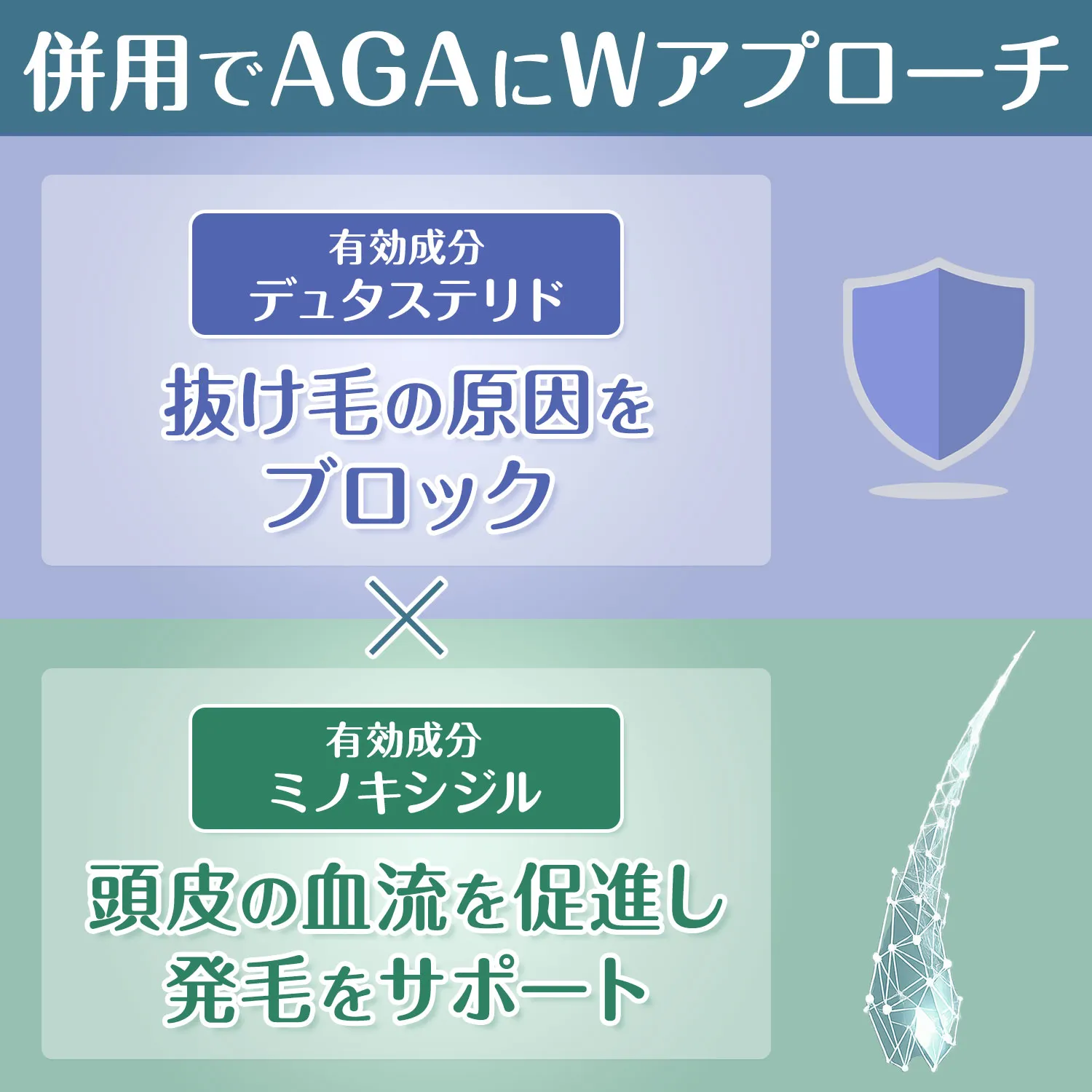 デュタステリド+ミノキシジル(デュタエイト+ミノエイト)