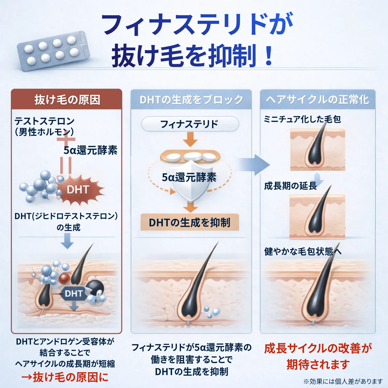 フィナクス