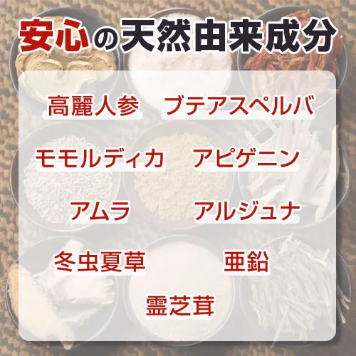 プロソリューション