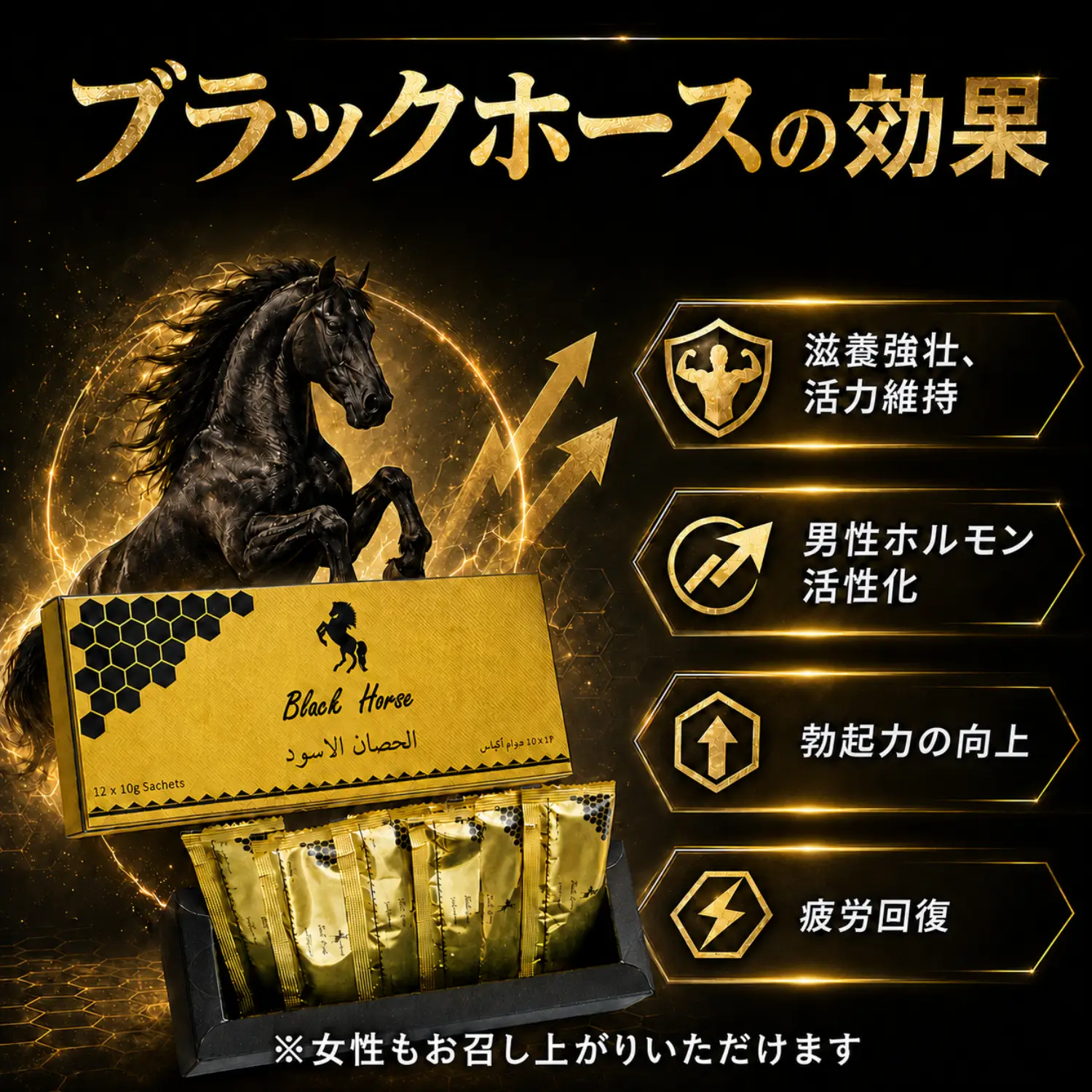 【送料無料】ブラックホース