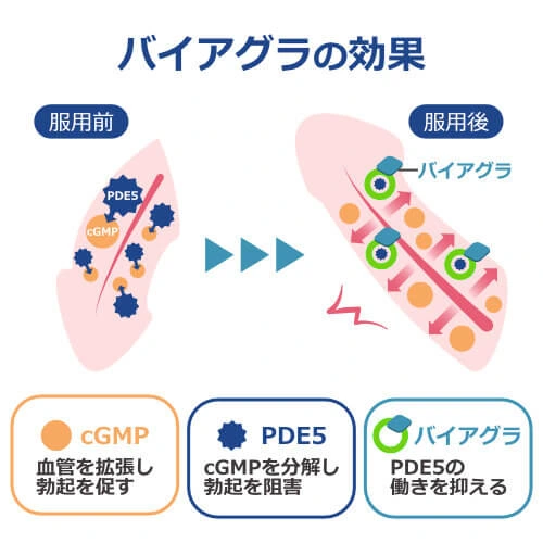 バイアグラ