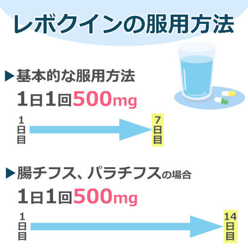 レボクイン