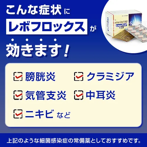 レボフロックス