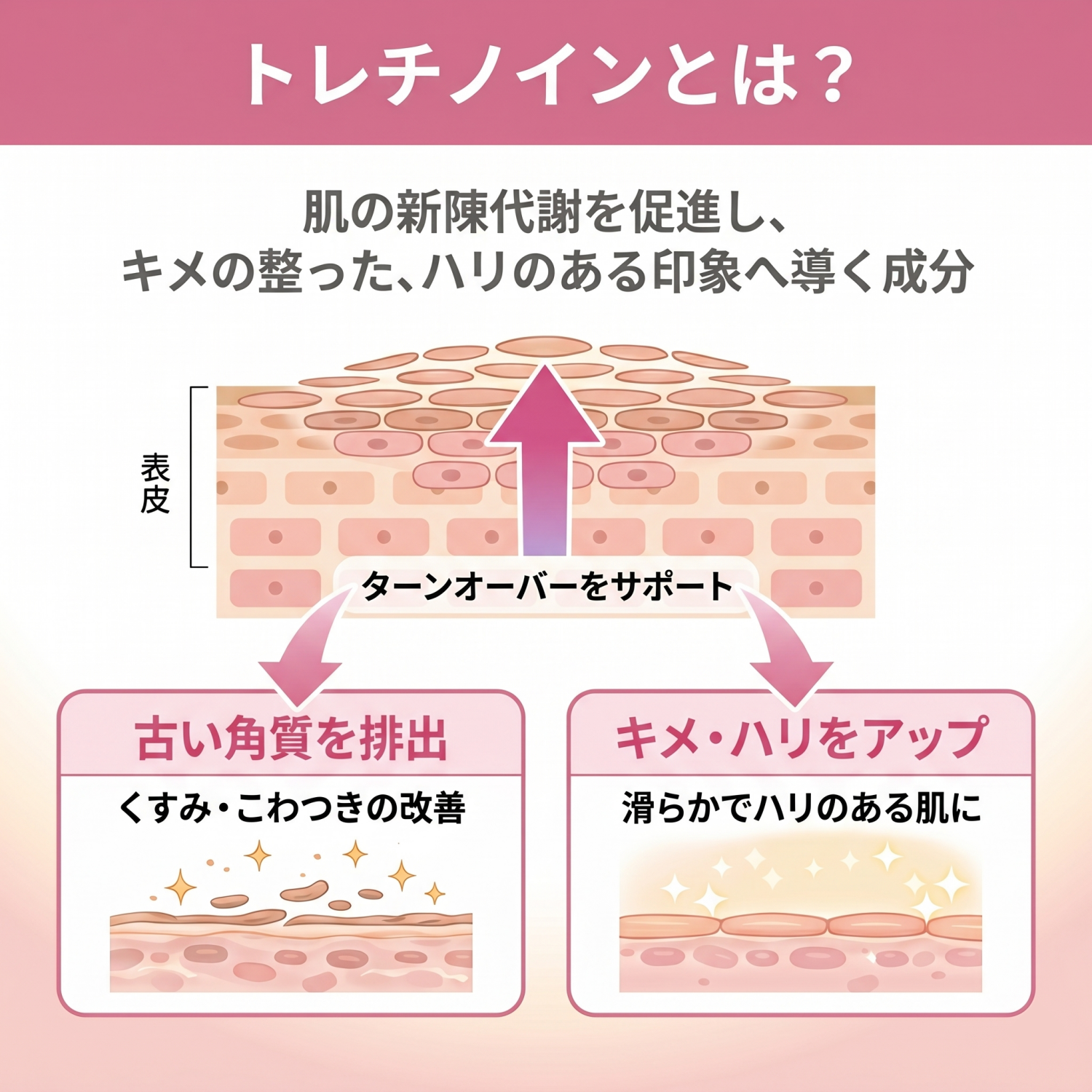 【送料無料】トレチノイン・ハイドロキノン
