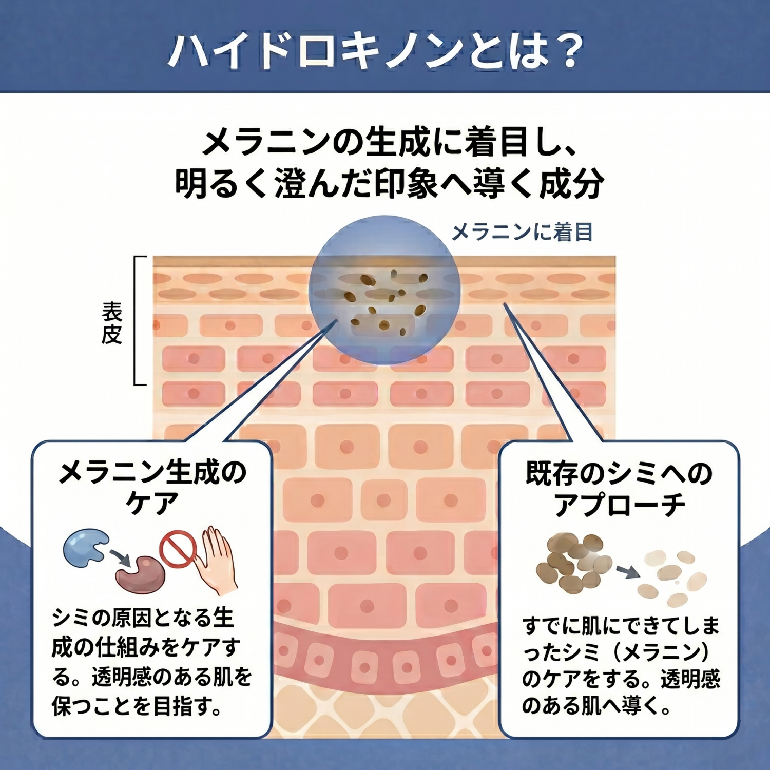 【送料無料】トレチノイン・ハイドロキノン