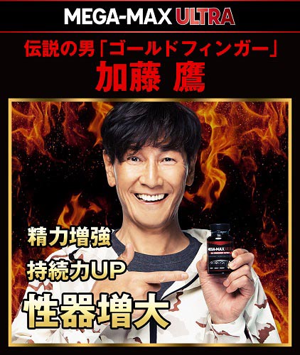 メガマックスウルトラ