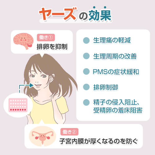 ヤーズ